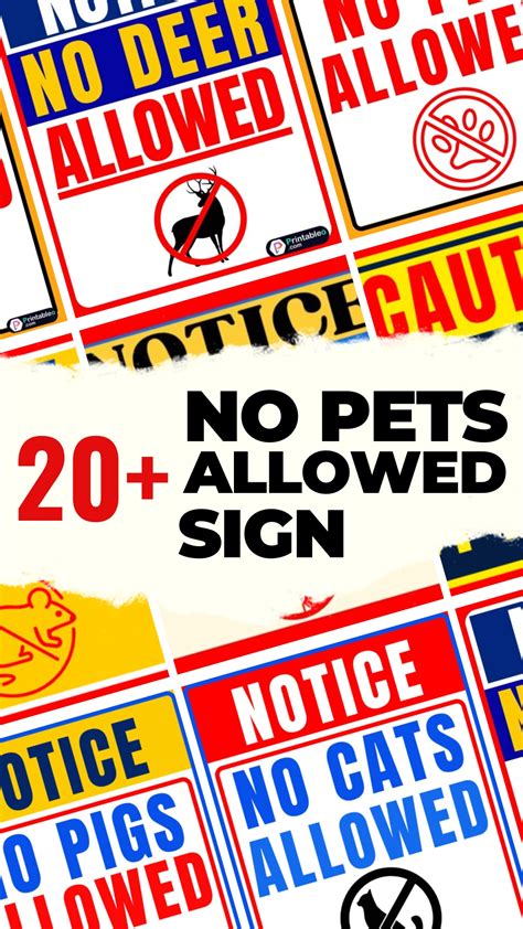 no pets rule uk